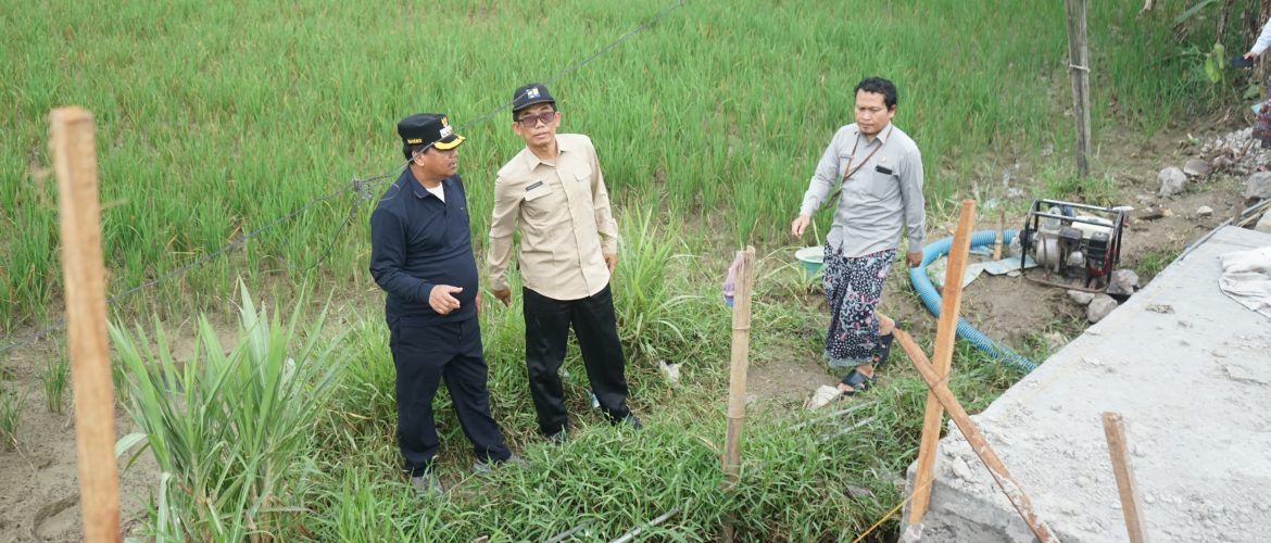 Percepat Perbaikan Infrastruktur, Bupati Rembang Tinjau Jalan Celangapan hingga Sedan
